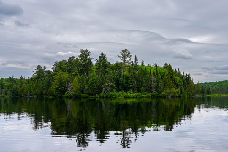 A green island is reflected in still water