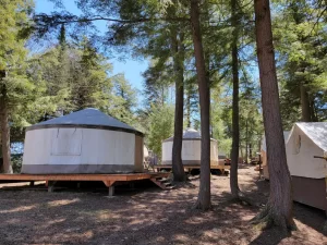A pair of yurts in the woods
