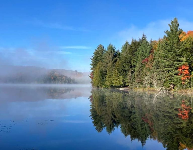 Light mist drifts across a lake