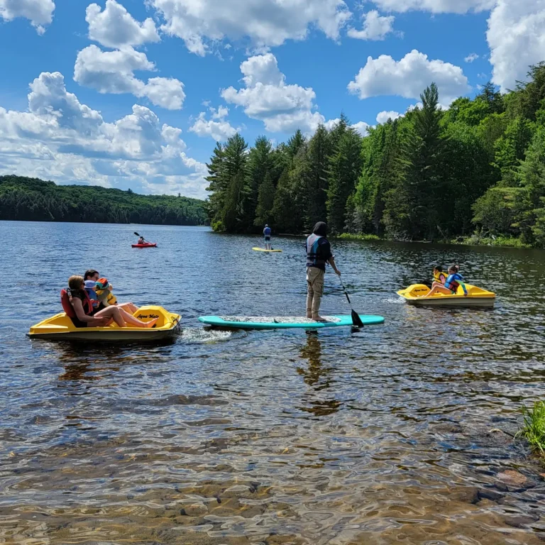 Two pedalboats and a stand up paddle board by a lakeshore