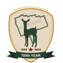 Camp Tanamakoon