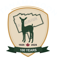 Tanamakoon-2025-Logo